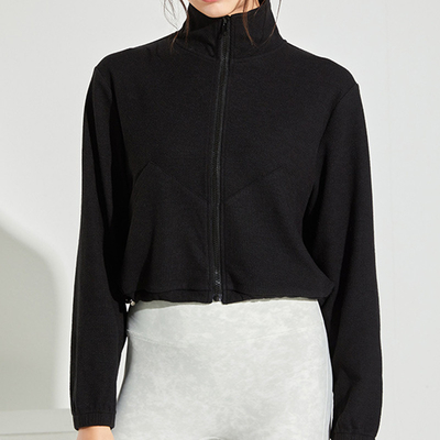 100% Cotton Spring Autumn Female Sports Clothes Stand Up Collar Hoodie